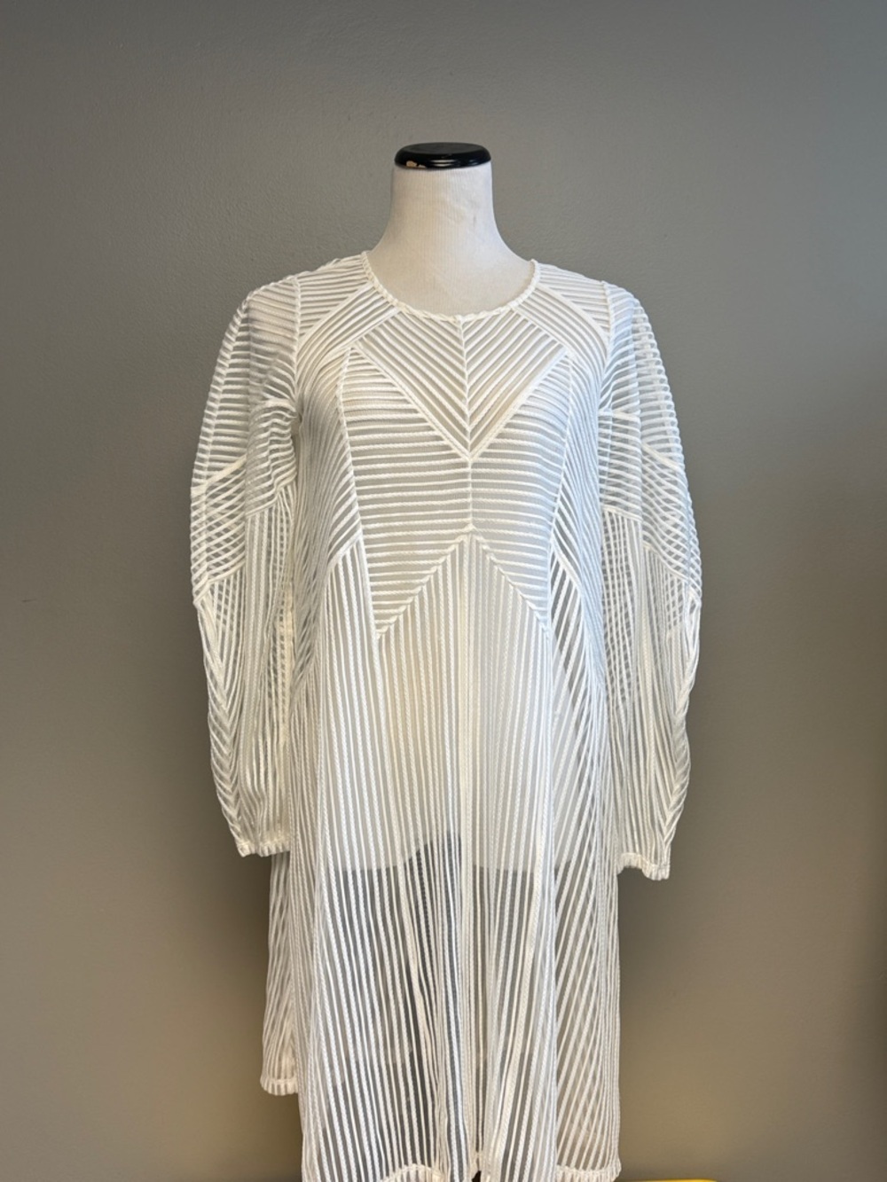 BCBG Maxazria Sheer Pleated Dress White Long Sleeve Size S